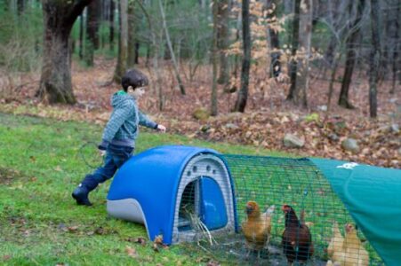 Introduction to the Eglu Image